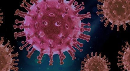 coronavirus public inquiry